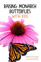 Raising Monarch Butterflies with Kids